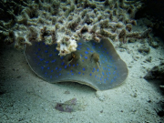 282050603_10158748215271918_8959209961805643751_n