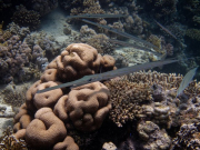 283521562_10158748215256918_65199953572780203_n