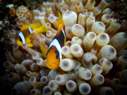 284089455_10158748215206918_3532486192628826173_n