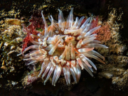 WhatsApp-Image-2023-06-26-at-12.01.16