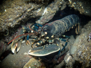 WhatsApp-Image-2023-06-26-at-12.01.161