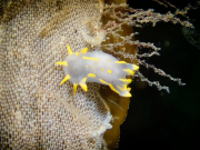 WhatsApp-Image-2023-06-26-at-12.01.162