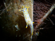 WhatsApp-Image-2023-06-26-at-12.01.163