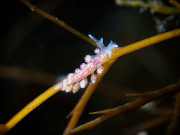 WhatsApp-Image-2023-06-26-at-12.01.164