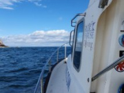 IMG-20230721-WA0006