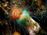 WhatsApp-Image-2021-06-20-at-23.06.54-2