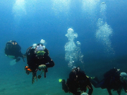 WhatsApp-Image-2022-10-12-at-18.20.58