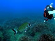 WhatsApp-Image-2022-10-12-at-18.21.08