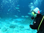 WhatsApp-Image-2022-10-13-at-18.07.50