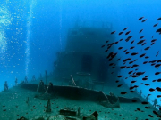 WhatsApp-Image-2022-10-13-at-18.07.56