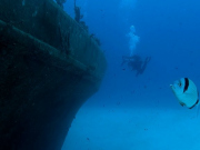 WhatsApp-Image-2022-10-13-at-18.07.57