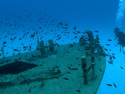 WhatsApp-Image-2022-10-13-at-18.08.00