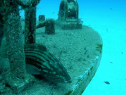 WhatsApp-Image-2022-10-13-at-18.08.01