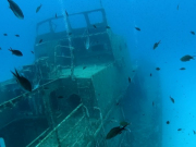 WhatsApp-Image-2022-10-13-at-18.08.04