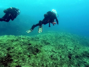 WhatsApp-Image-2022-10-15-at-07.46.47