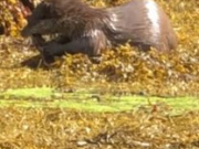 WhatsApp-Image-2022-09-17-at-09.20.01