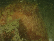 WhatsApp-Image-2022-09-17-at-19.46.33