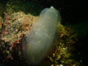 WhatsApp-Image-2022-09-17-at-19.47.34