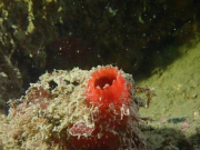 WhatsApp-Image-2022-09-17-at-19.49.23