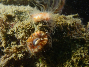 WhatsApp-Image-2022-09-17-at-19.49.25