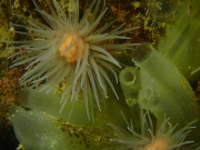 WhatsApp-Image-2022-09-17-at-19.49.26