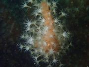 WhatsApp-Image-2022-09-17-at-19.49.28