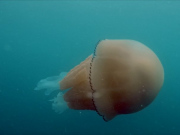 345894512_2466508440166915_3095315350934610939_n