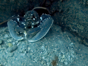 346028638_190098950594598_7643572761420983487_n