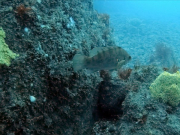 346043739_946181590033152_7552267878845635507_n