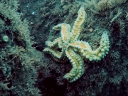 346044557_2799529966849107_198696340202881766_n