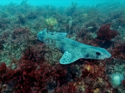 346048988_208879568571803_1322503028826521142_n