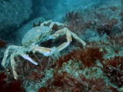 346051443_231608642849199_8809394120781872418_n