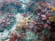 346051619_809571700094570_1945599851113596647_n