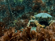 346069886_256010733473334_1236296824733822031_n