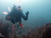 346070243_922197339016812_2072196072294149129_n