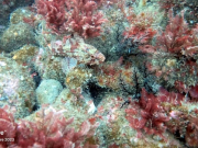 346090853_1627238767724086_2033429946130715286_n