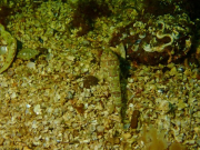 WhatsApp-Image-2022-09-05-at-21.57.20