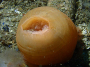 WhatsApp-Image-2022-09-05-at-21.57.21-1