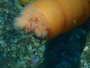 WhatsApp-Image-2022-09-05-at-21.57.24