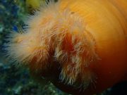 WhatsApp-Image-2022-09-05-at-21.57.25-1