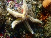 WhatsApp-Image-2022-09-05-at-21.57.25