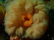 WhatsApp-Image-2022-09-05-at-21.57.26