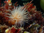 WhatsApp-Image-2022-09-05-at-21.57.27