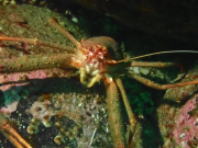 WhatsApp-Image-2022-09-06-at-20.06.41