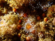 WhatsApp-Image-2022-09-06-at-20.06.43-1