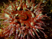 WhatsApp-Image-2022-09-06-at-20.06.43