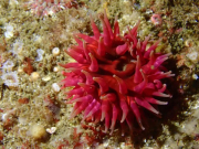 WhatsApp-Image-2022-09-06-at-20.06.44-1