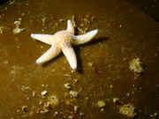 WhatsApp-Image-2022-09-06-at-20.06.44