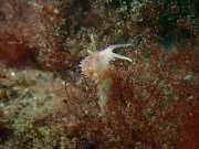 WhatsApp-Image-2022-09-08-at-21.54.11