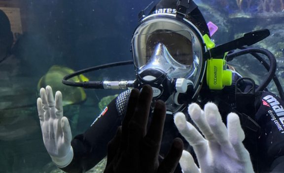 Skegness Aquarium trip report!